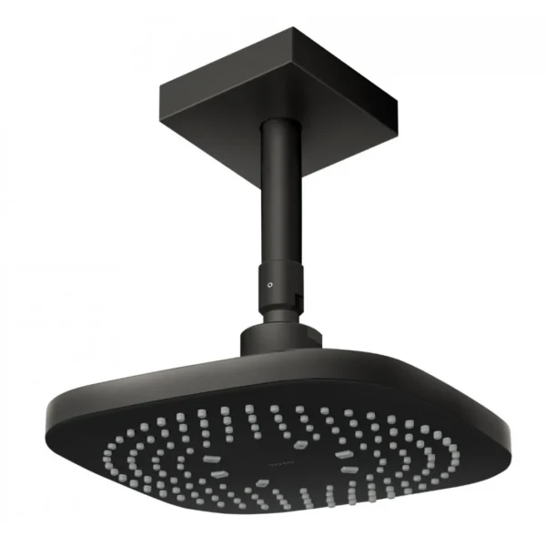 Bát Sen TOTO TBW02003B1B#MBL Gắn Trần Màu Đen Mờ