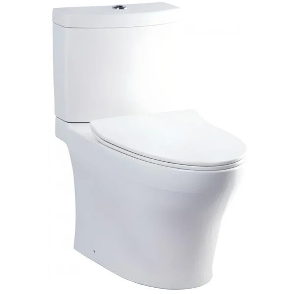 Bồn Cầu TOTO 2 khối CS769DRT8 (CS769DT8) Nắp TC600VS